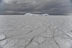 west antarctic sea ice